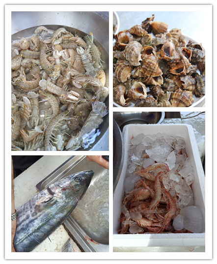 微信圖片_20240523112551_副本.jpg 微信圖片_20240523112551_副本.jpg